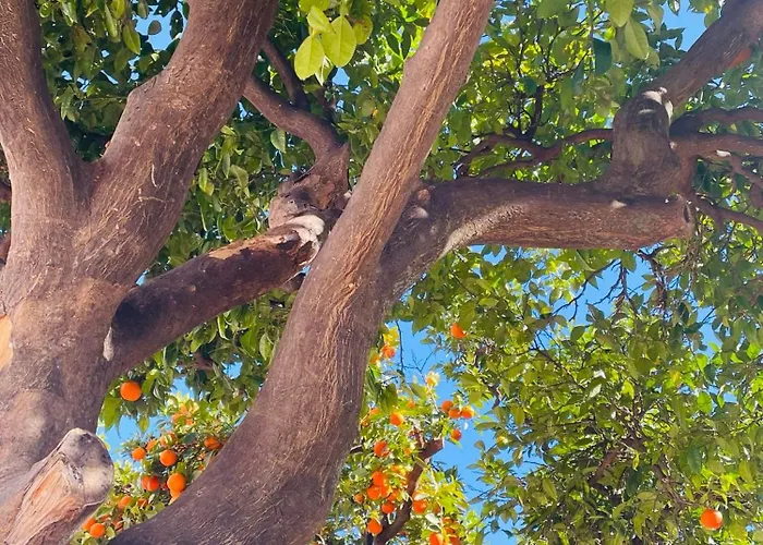 شقة Elegant Sea-view Near Puerto Banus Live The Lifestyle *