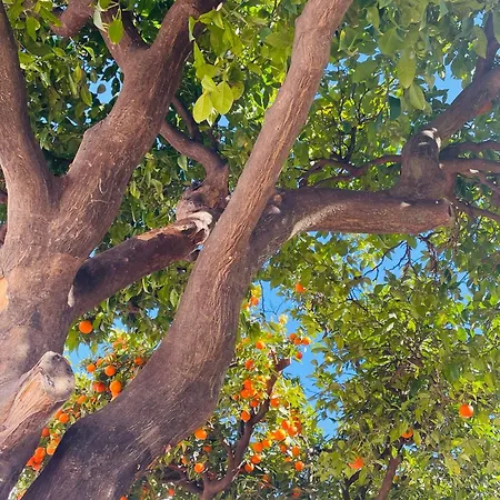 Apartmán Elegant Sea-view Near Puerto Banus Live The Lifestyle *